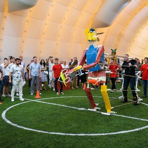 IMG238-238
